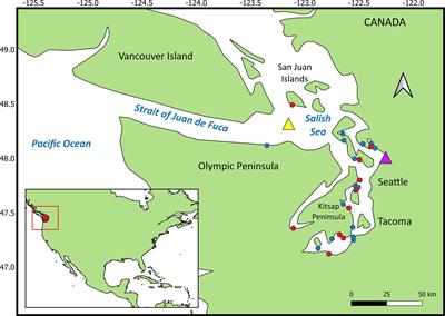 Risk factor determination and qualitative risk assessment of Mucormycosis in Harbor Porpoise, an emergent fungal disease in Salish Sea marine mammals